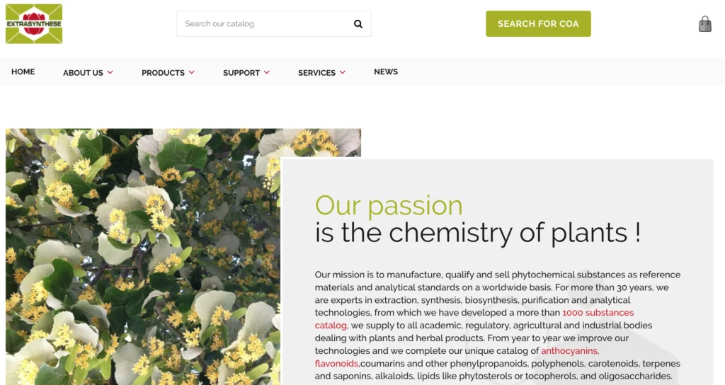 agence digitale digitz lyon - extrasynthese - prestashop