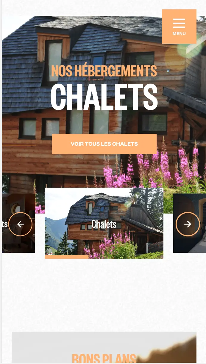 agence digitale digitz lyon - avoriaz - apidae - wordpress - headless